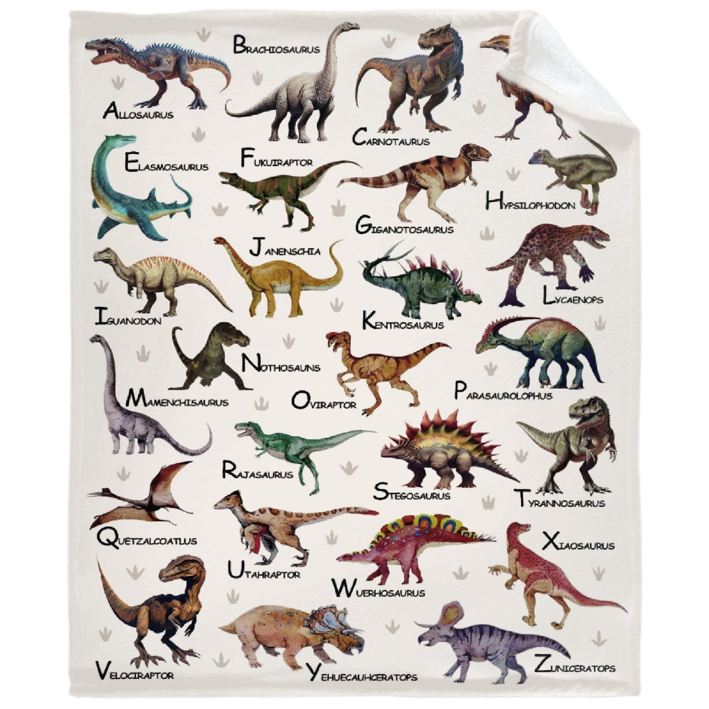 Custom Name Dinosaurs Blanket Personalized Gifts Super Soft Lightweight Flannel Blankets Throw for Kids, Adult, Suitable for Couch, Sofa, Bed, Camping, Travel All Seasons 40"x50" for Kid